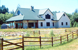 Black Dog Farm
